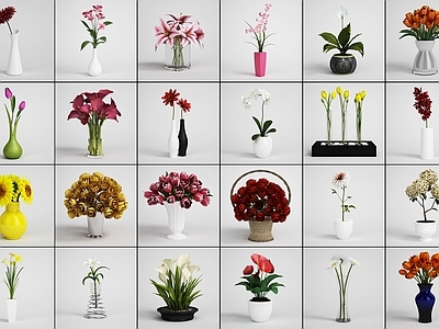 现代简约花 花卉 室内绿植 盆栽植物 鲜花 花朵