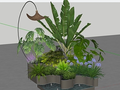 现代植物组合