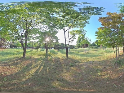 现代其它HDR