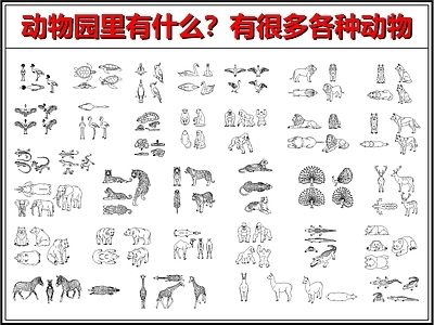 动物 动物园 老虎狮子豹子熊 狼猴子猩猩鳄鱼 大熊猫长颈鹿斑马 大象羊驼鹿斑马