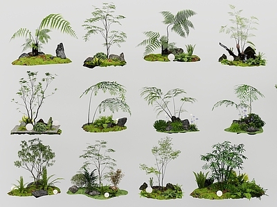 禅意植物堆