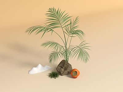 禅意草本植物 植物 石头 柿子 山