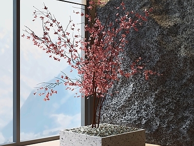 现代简约景观树 乔木 庭院树 盆景树 绿化树 植物组合