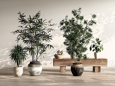 侘寂盆栽 盆景