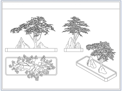 灌木种植 青枫红枫树鸡爪槭
