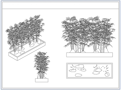灌木种植 庭院景观竹子竹林