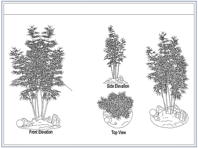 灌木种植 庭院景观竹子竹林