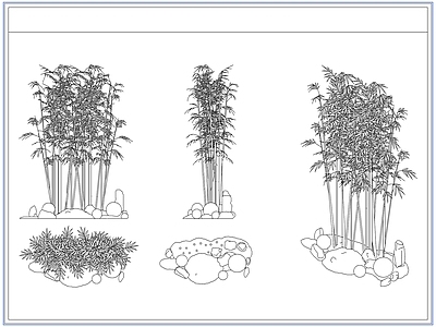 灌木种植 庭院景观竹子竹林