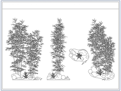 灌木种植 庭院景观竹子竹林