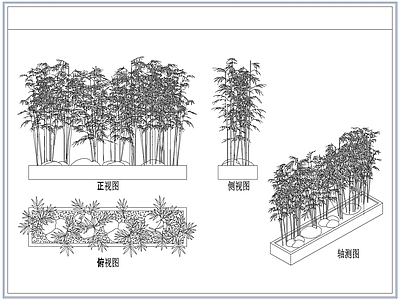 灌木种植 庭院景观竹子竹林
