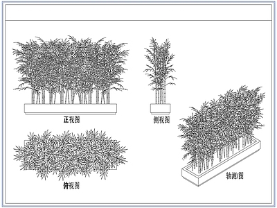 灌木种植 庭院景观竹子竹林