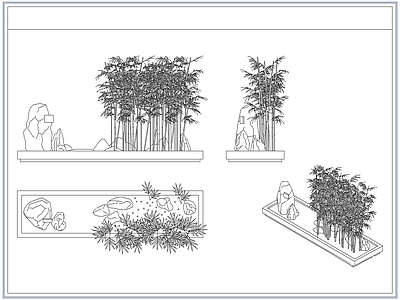 灌木种植 庭院景观竹子竹林