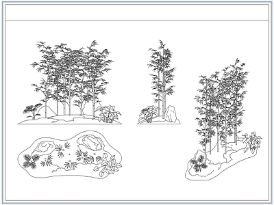 灌木种植 庭院景观竹子竹林
