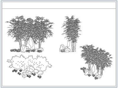 灌木种植 庭院景观竹子竹林