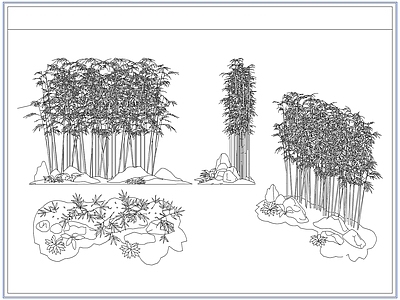 灌木种植 庭院景观竹子竹林