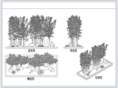 灌木种植 庭院景观竹子竹林