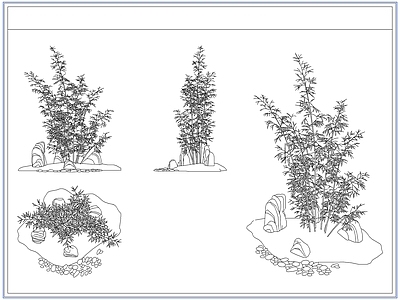 灌木种植 庭院景观竹子竹林