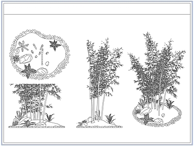 灌木种植 庭院景观竹子竹林