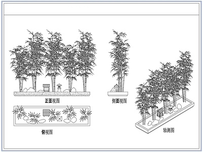 灌木种植 庭院景观竹子竹林