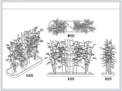 灌木种植 庭院景观竹子竹林