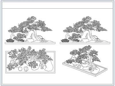 灌木种植 庭院景观松树