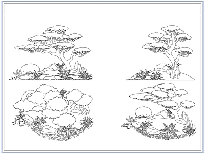 灌木种植 庭院景观松树