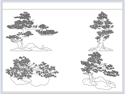 灌木种植 庭院景观松树