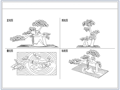 灌木种植 庭院景观松树