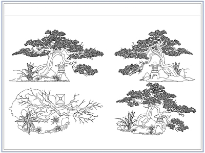 灌木种植 庭院景观松树