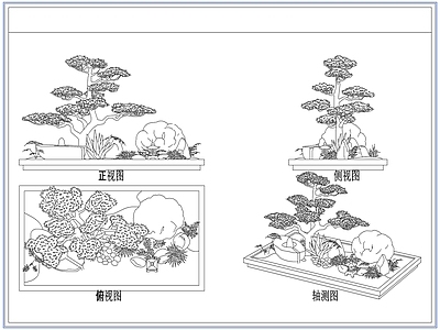 灌木种植 庭院景观松树