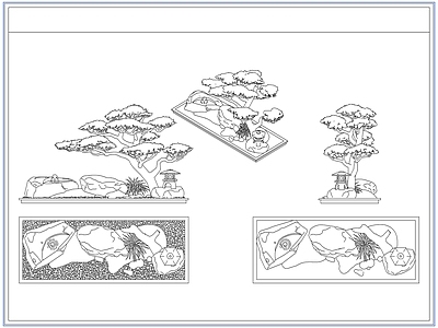 灌木种植 庭院景观松树