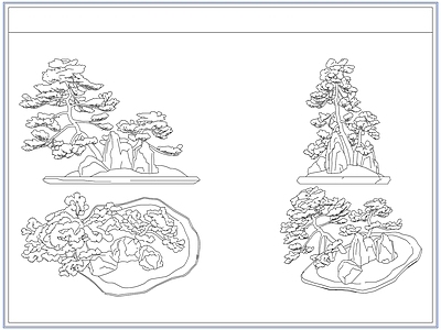 灌木种植 庭院景观松树