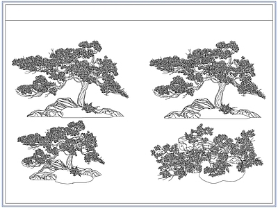 灌木种植 庭院景观松树