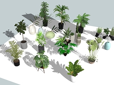 现代盆栽 室内盆栽 绿植 花盆植物 室内绿植 盆栽组合