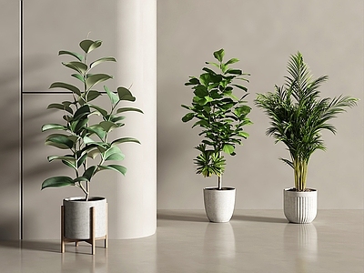 现代简约盆栽 盆景盆栽 盆景 盆栽 绿植盆栽