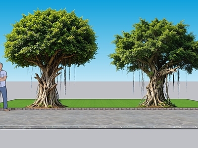 现代主义乔木 2D植物 榕树景观树 绿化雕塑 绿植 榕树
