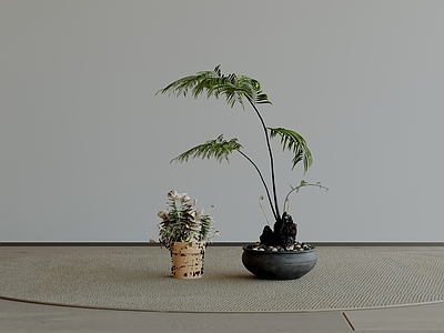 极简盆栽