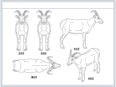 综合人物动物图库 动物山羊绵羊