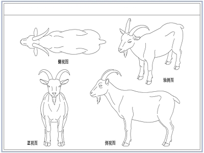 综合人物动物图库 动物山羊绵羊