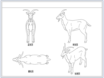 综合人物动物图库 动物山羊绵羊