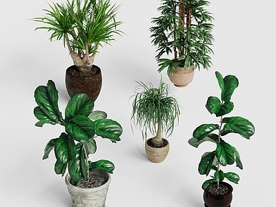 现代植物堆