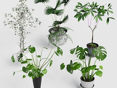 现代简约植物堆