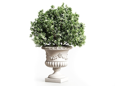 欧式灌木 欧式花盆 绿植摆件 盆栽盆景 景观绿植 灌木