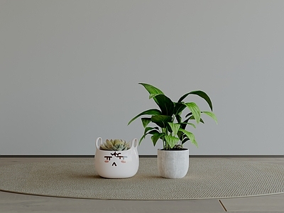 极简盆栽