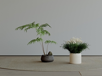 极简盆栽