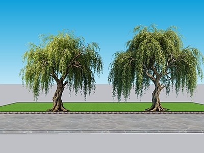 现代主义乔木 2D植物 垂叶榕 绿植 绿化 乔木