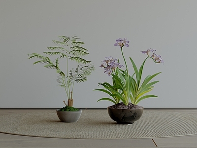 极简盆栽
