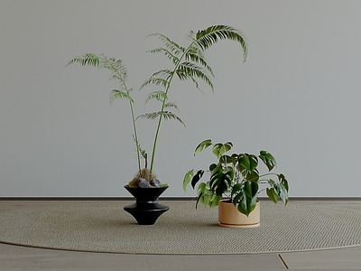 极简盆栽