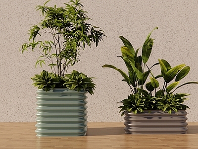 现代绿植摆件