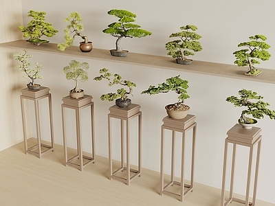 新中式盆景 新中式盆栽 新中式花架 新中式花几 松树盆景